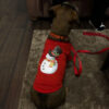 Karácsonyi pamut kutyaruha piros hóember