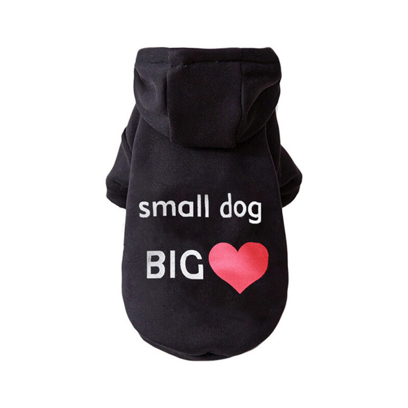 small dog big heart kutyaruha