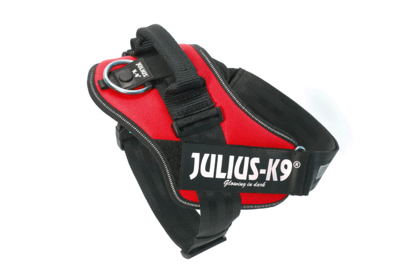 JULIUS-K9 IDC Powerhám piros