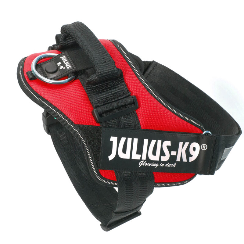 JULIUS-K9 IDC Powerhám piros